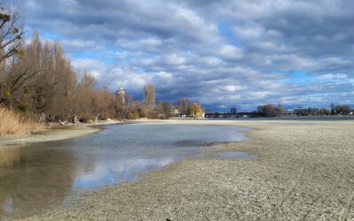 Werbeagentur in Konstanz am Bodensee